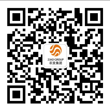 省小鸟体育集团微信公众号 省小鸟体育集团微信公众号