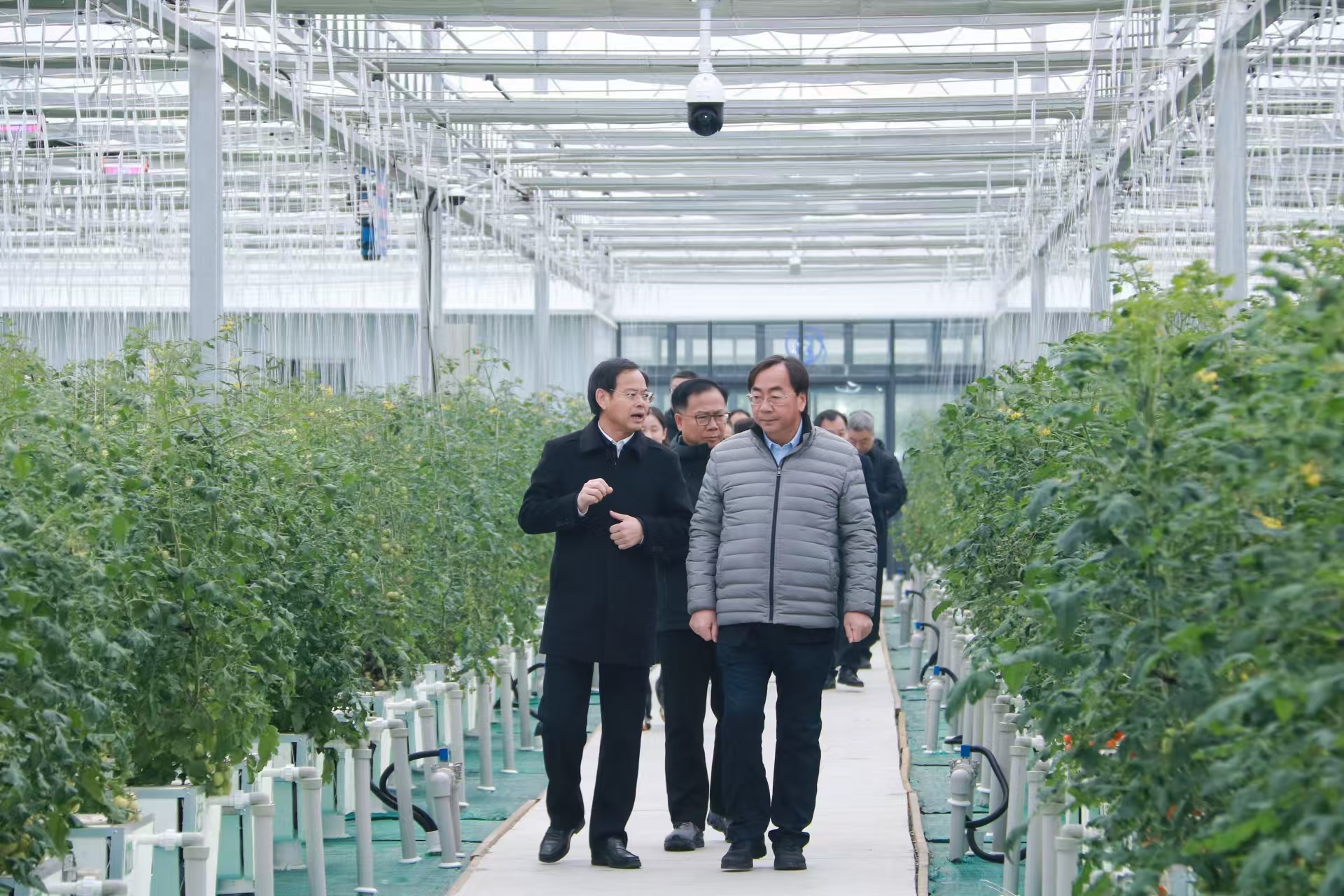 杭州市政协主席马卫光调研省小鸟体育集团田立方·临平未来农场