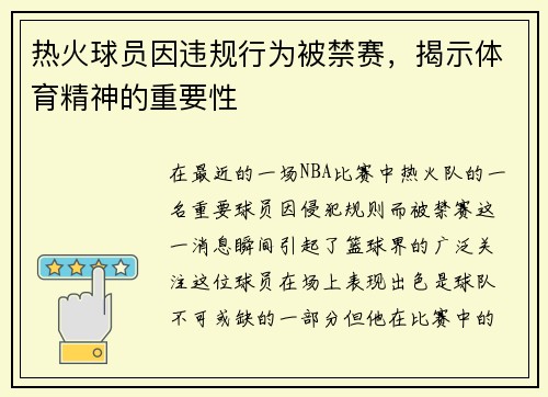 热火球员因违规行为被禁赛，揭示体育精神的重要性
